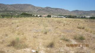 Finca rústica en venta