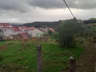 FINCA