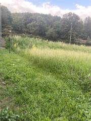 Finca rústica en venta