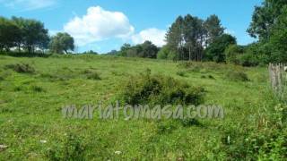 Building land for sale