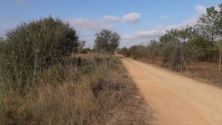 Agricultural land for sale