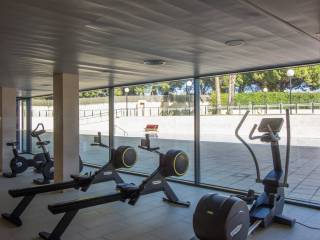 Gimnasio