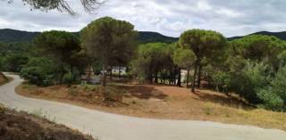 Terreno agrícola à venda