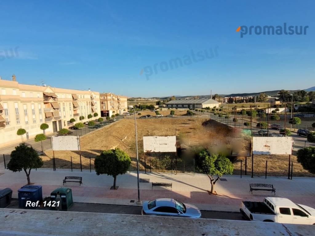 Vistas desde la terraza