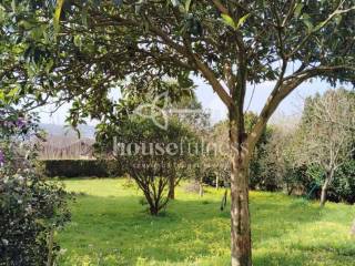 Finca