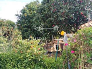 Finca