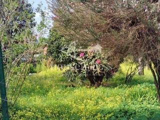 Finca