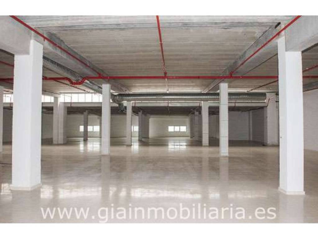 No Informado