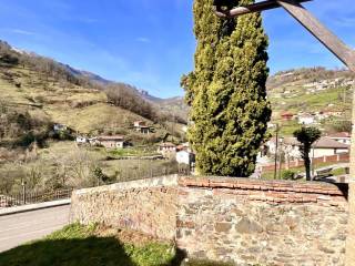 Vistas