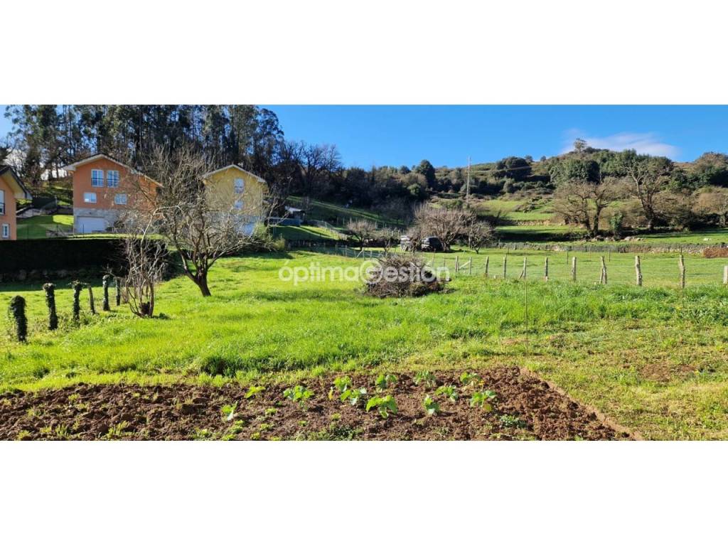 Jardín