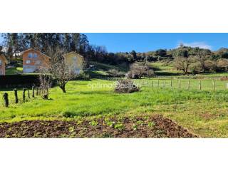 Jardín