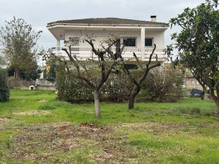 Jardín