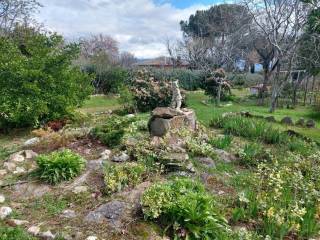 Jardín