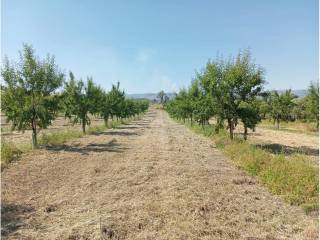 Jardín