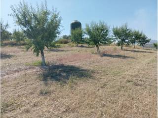 Jardín