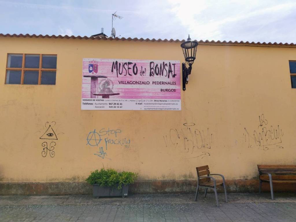 Entorno