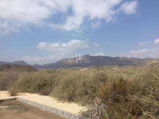 Vistas