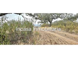 No Informado