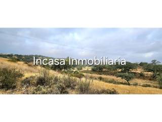 Vistas
