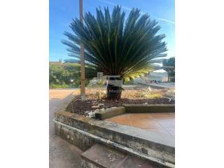 Jardín