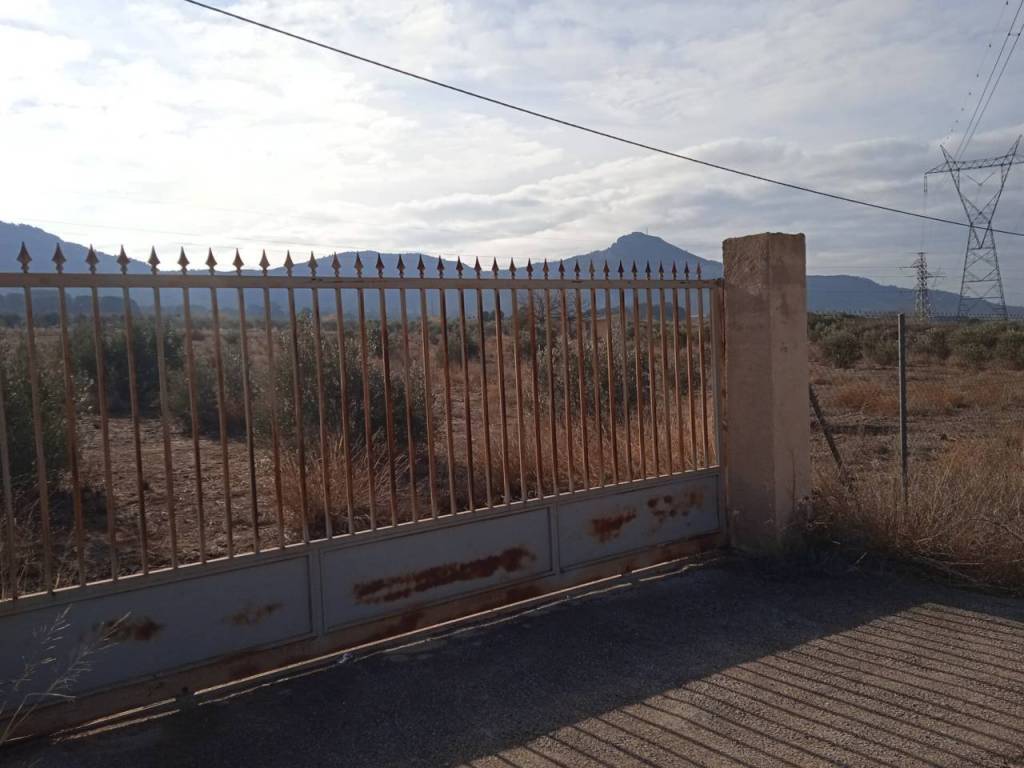 Entrada/Salida