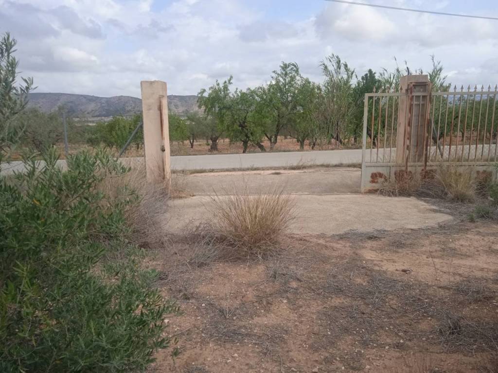 Entrada/Salida