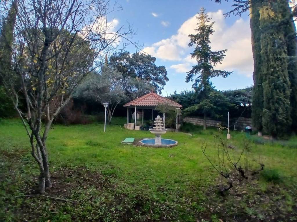 Jardín