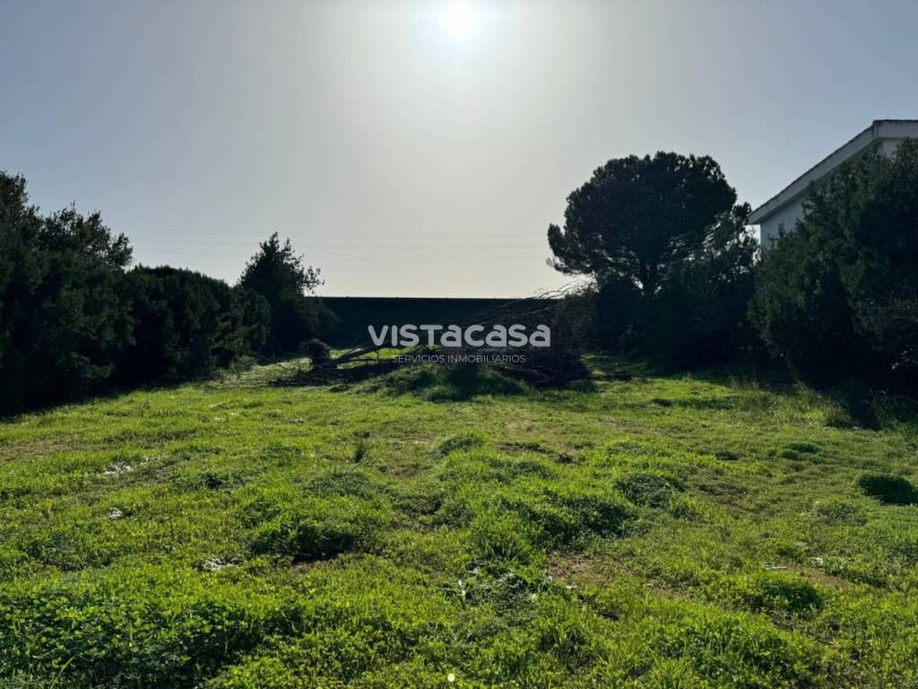 Vistas