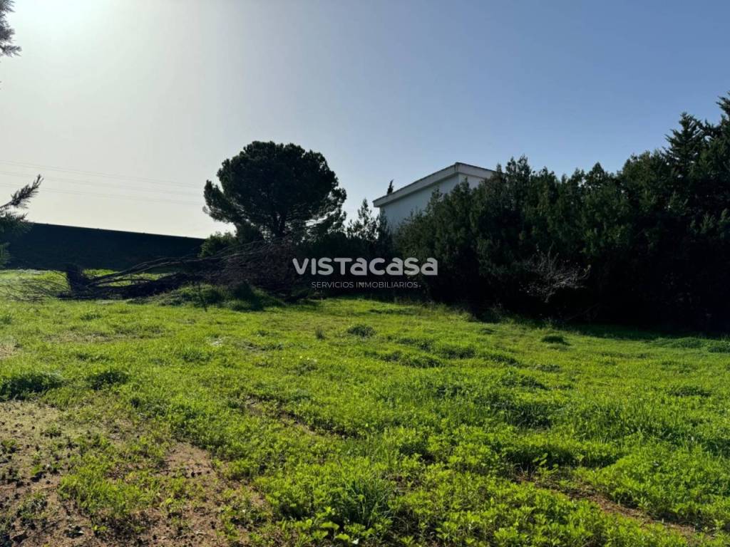 Vistas