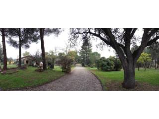 Jardín