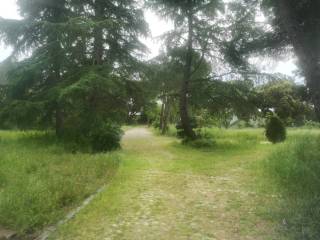 Jardín