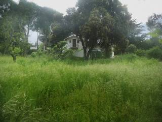 Jardín