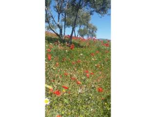 Jardín