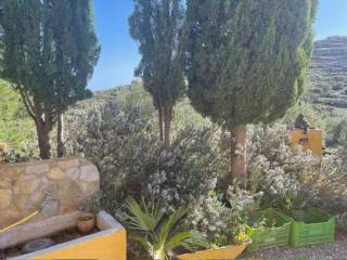 Jardín