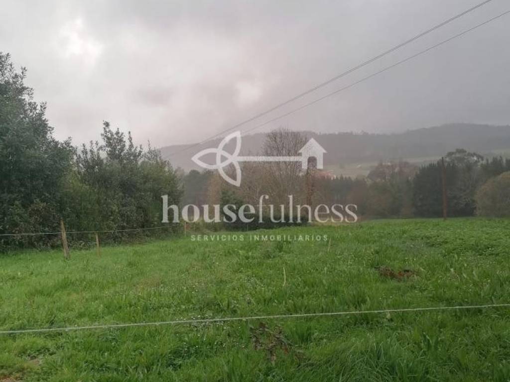 VISTAS FINCA