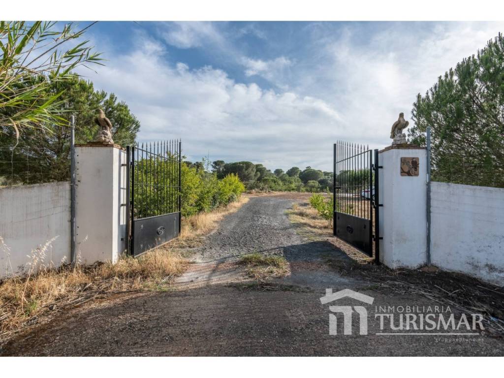 Entrada/Salida
