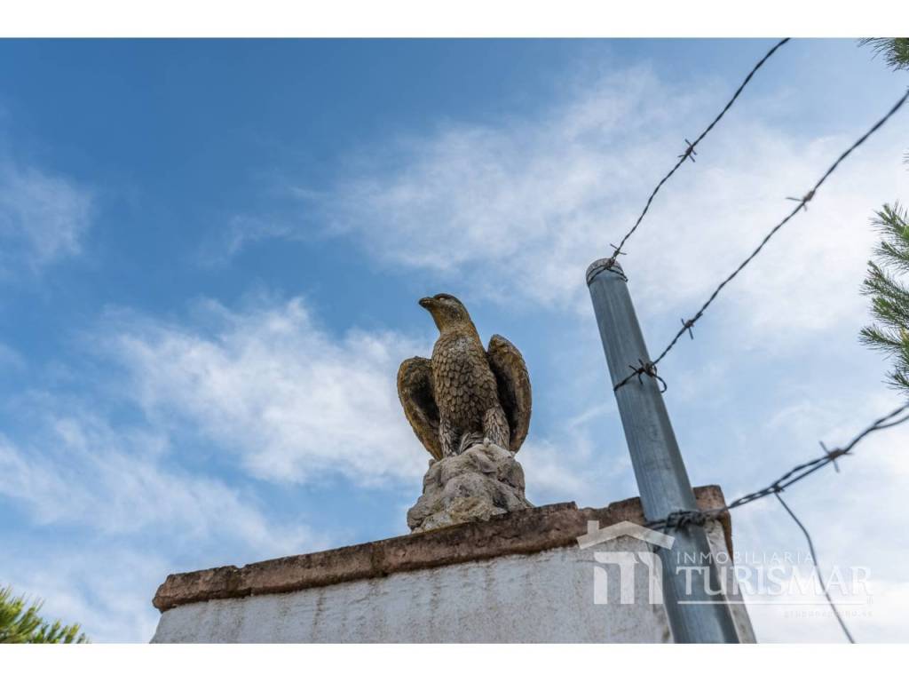 Entrada/Salida