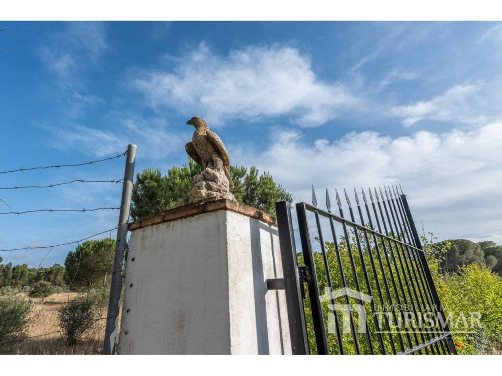 Entrada/Salida
