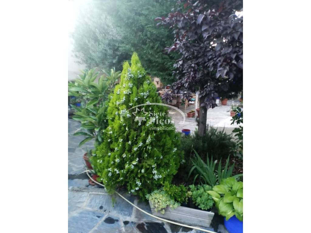 Jardín