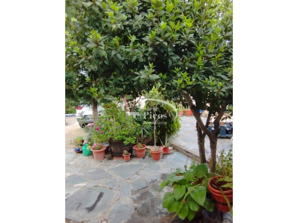 Jardín