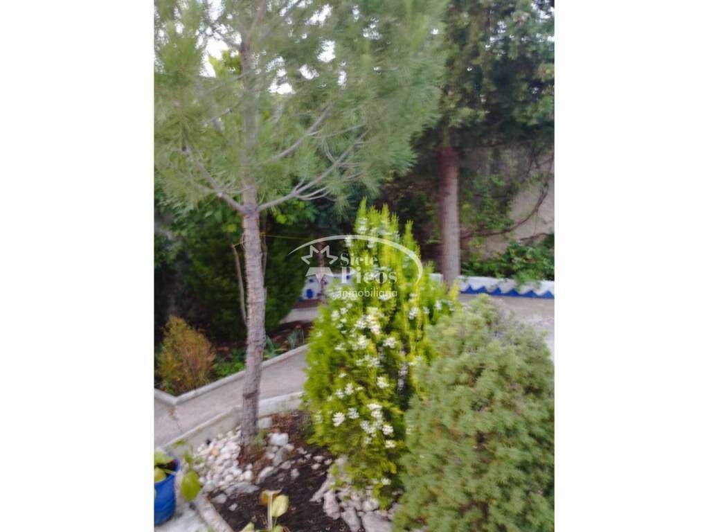 Jardín