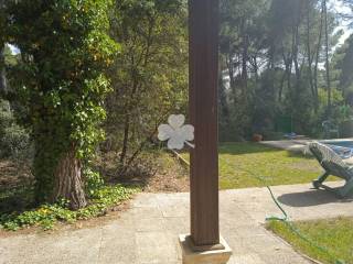 Jardín