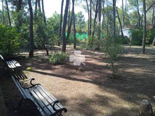 Jardín