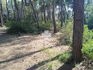 Jardín
