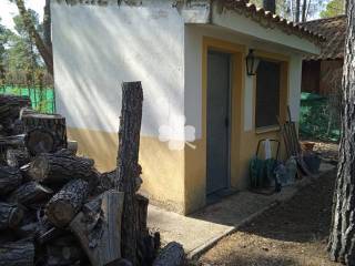Escalera