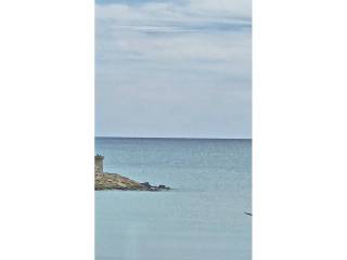 Vistas