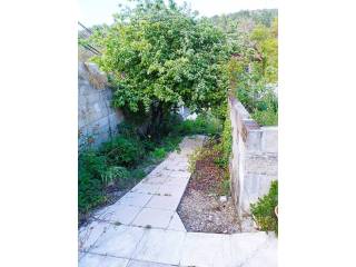 Jardín