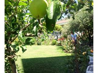 Jardín