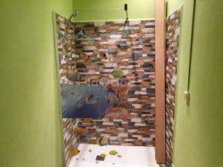No Informado