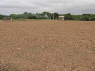 Vistas